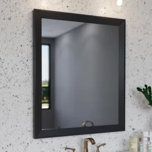 The Mirror